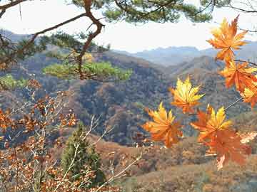 最新全国十大火锅排名揭秘，开启火锅美食探寻之旅